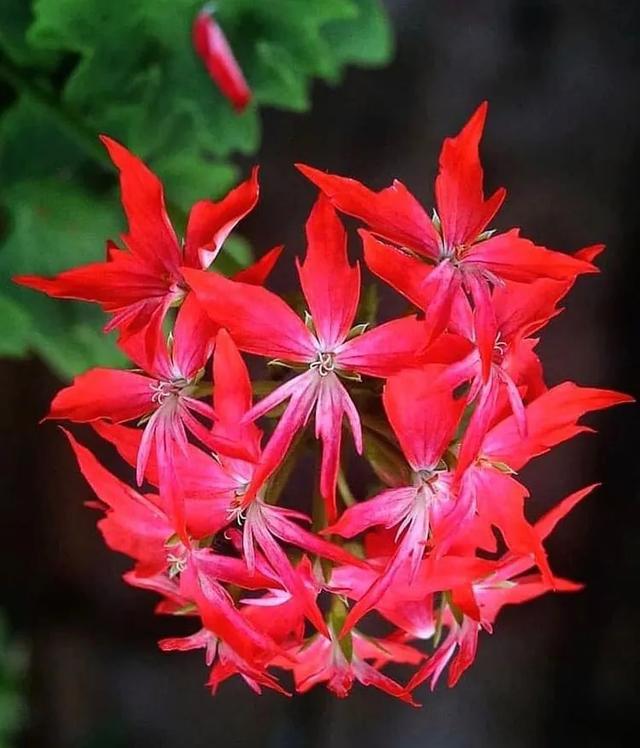 真正聰明的人，怎樣處理自己的“孤獨時光”